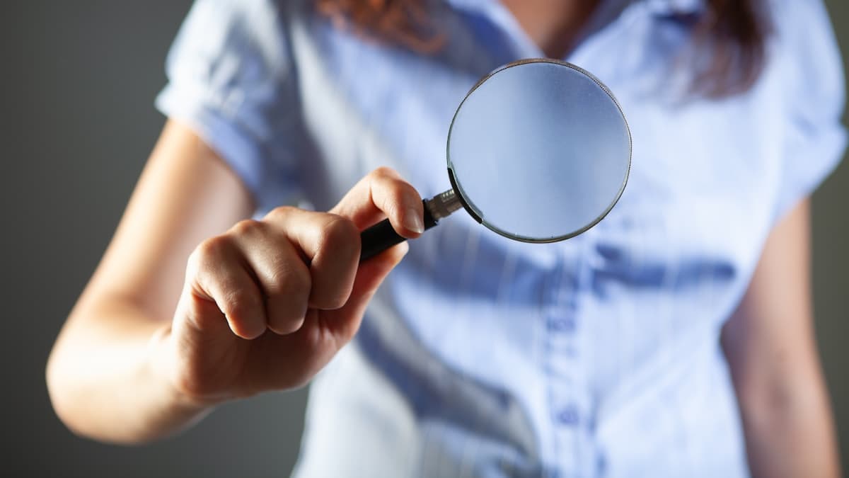 Leading private investigation services — Detective Pulse